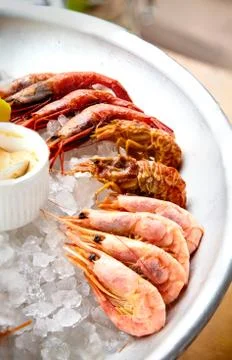 Different shrimp( nerd, bear and others), ice on ice with sauce. Stock Photos