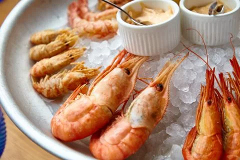 Different shrimp( nerd, bear and others), ice on ice with sauce. Stock Photos