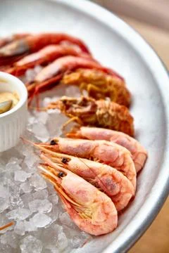Different shrimp( nerd, bear and others), ice on ice with sauce. Stock Photos