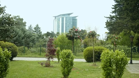 Different shrubs in the park against the background of the building. Stock Footage 112376516