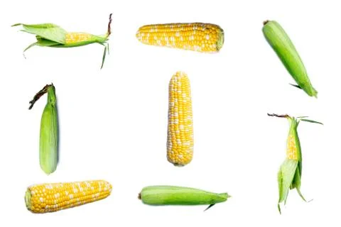 Different sides of raw corn isolated on white background. Pattern with corn Foto stock