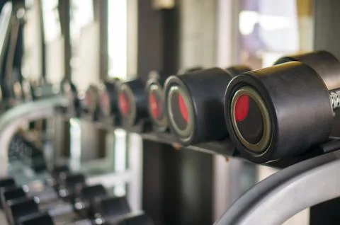 Different sizes and weights dumbbells on stand in modern gym Stock Photos