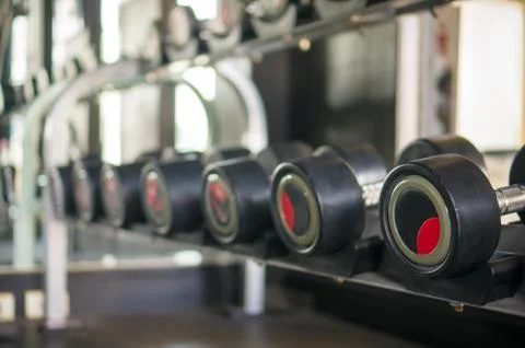 Different sizes and weights dumbbells on stand in modern gym Stock Photos