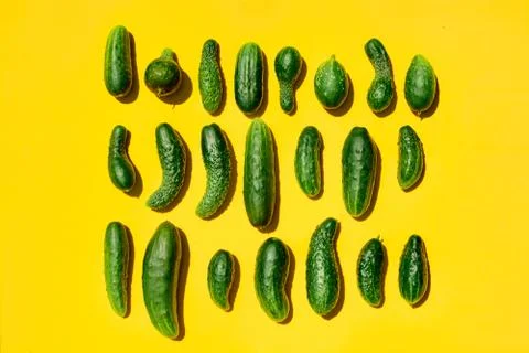 Different sizes forms cucumbers pattern on a light yellow background. Copy sp Fotos Stock