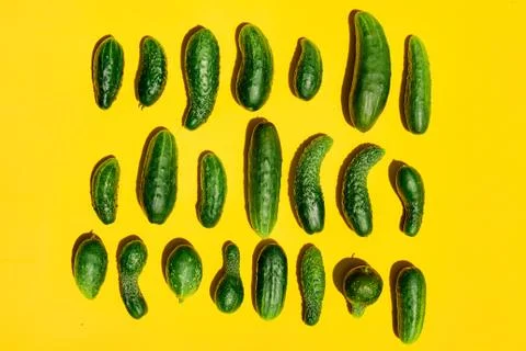 Different sizes forms cucumbers pattern on a light yellow background. Copy sp Foto stock