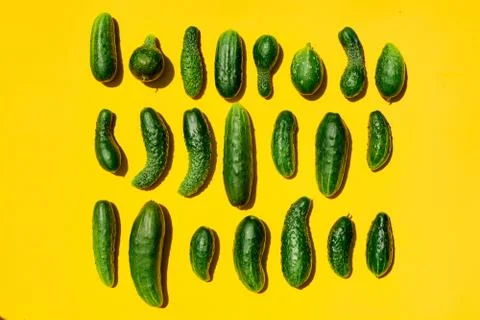 Different sizes forms cucumbers pattern on a light yellow background. Copy sp Stock Photos