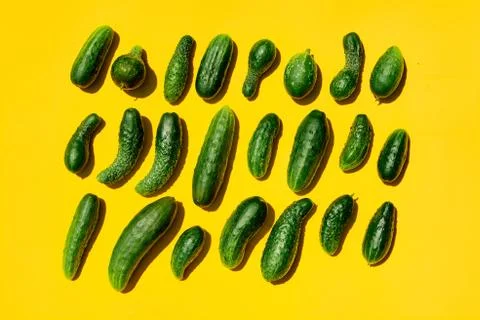 Different sizes forms cucumbers pattern on a light yellow background. Copy sp 写真素材