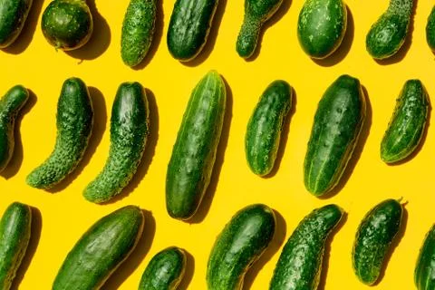 Different sizes forms cucumbers pattern on a light yellow background. Copy sp 写真素材