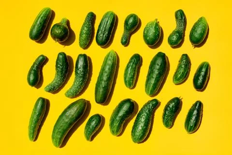 Different sizes forms cucumbers pattern on a light yellow background. Copy sp Stock Photos