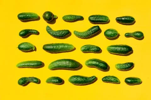 Different sizes forms cucumbers pattern on a light yellow background. Copy sp Stock Photos