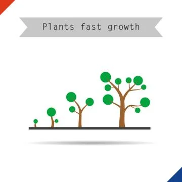 Different sizes of plant Stock Illustration