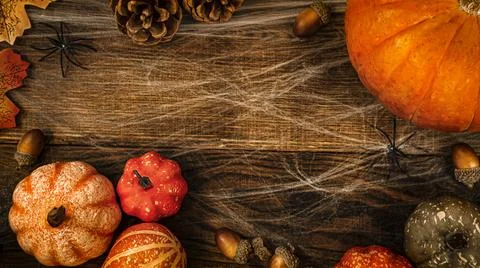 Different small pumpkins, cones, acorns and spider web with spiders on a wooden Stock Photos