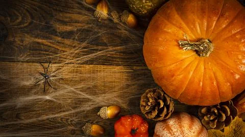 Different small pumpkins, cones, acorns and spider web with spiders on a wooden Stock Photos