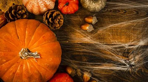 Different small pumpkins, cones, acorns and spider web with spiders on a wooden Stock Photos