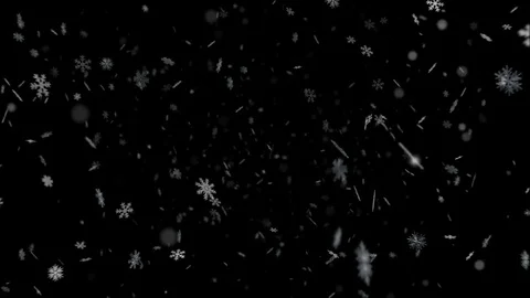 Different Snowflakes Fall Down Stock-Footage 83772075