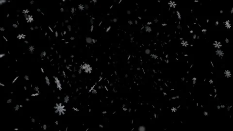 Different Snowflakes Fall Down Stock Footage 83775494