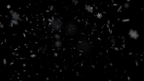 Different Snowflakes Fall from Top to Bottom Stock-Footage 83779417