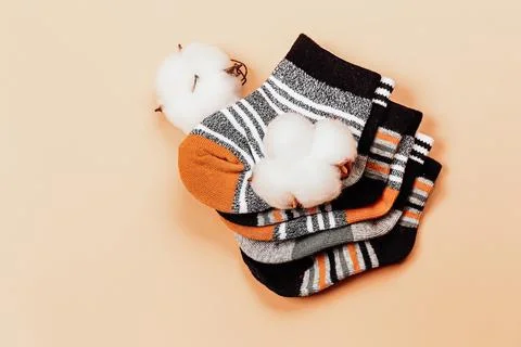 Different socks beige background with cotton flowers copy space. Natural organic Stock Photos