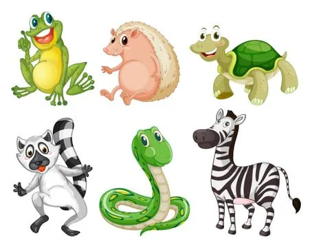 Different species of animals Stockillustratie
