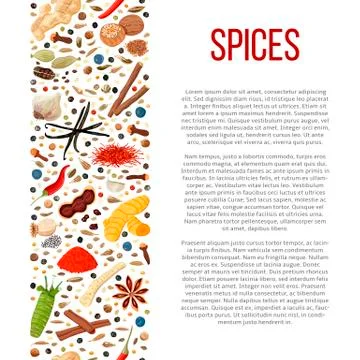 Different spices with description text Stock Illustration