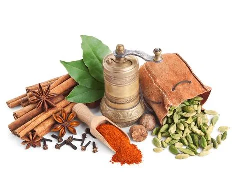 Different spices isolated on white Stock Photos