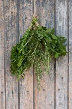 Different spices Stock Photos