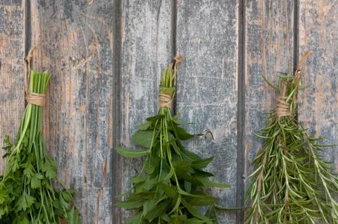 Different spices Foto stock