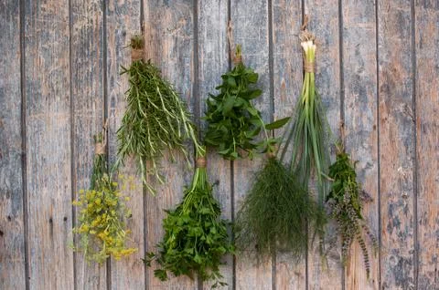 Different spices Foto stock