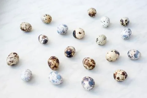 Different spotted quail eggs in random order on the marble surface Stock Photos