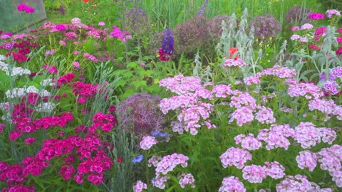 Different spring flowers on garden Stock Footage 144475068