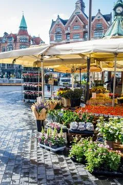 Different spring fresh flowers and bouquets sold on Kultorvet square in the.. Foto stock