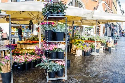 Different spring fresh flowers and bouquets sold on Kultorvet square in the.. Stock Photos