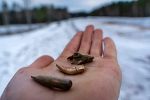 Different Stages and Forms of Bullets after Been Shot Фото