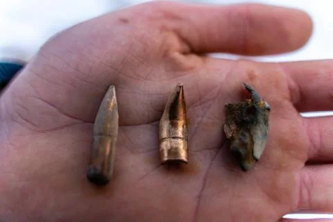 Different Stages and Forms of Bullets after Been Shot Fotos Stock