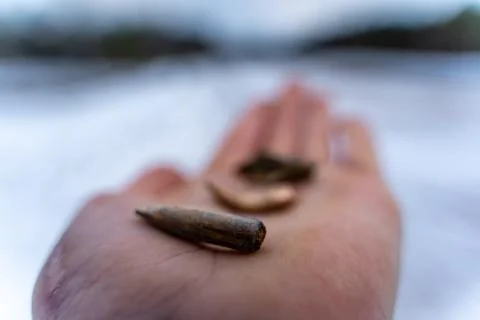 Different Stages and Forms of Bullets after Been Shot 写真素材