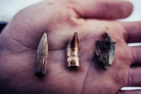 Different Stages and Forms of Bullets after Been Shot - Bent and Destructed Foto stock