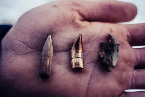 Different Stages and Forms of Bullets after Been Shot - Bent and Destructed Stockfoto's