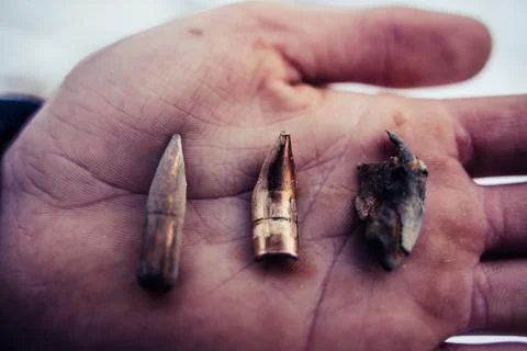 Different Stages and Forms of Bullets after Been Shot - Bent and Destructed Foto stock
