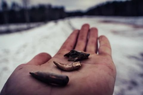 Different Stages and Forms of Bullets after Been Shot - Bent and Destructed Stockfoto's