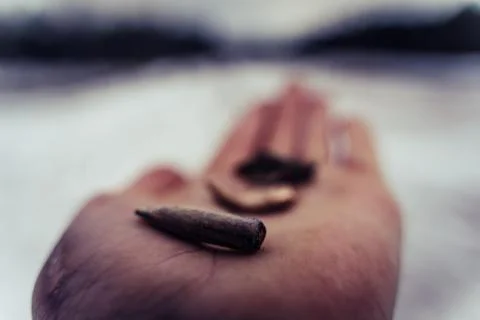 Different Stages and Forms of Bullets after Been Shot - Bent and Destructed 写真素材