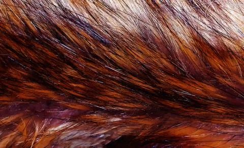 Different structures and shades of fur - artificial fur texture. Foto stock