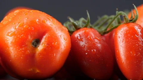 Different tasty ripe tomatoes, close-up traking shot. Stock Footage 113650352