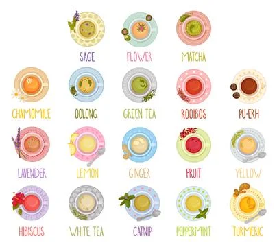 Different Tea Types and Herbal Drinks Poured in Teacup Standing on Saucer View Illustrazione stock