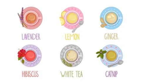 Different Tea Types Poured in Cups and Standing on Saucer Vector Set Illustrazione stock
