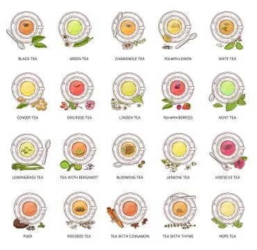 Different tea types - vector illustration set. Colorful herbal drink collection Illustrazione stock