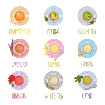 Different Tea Types Vector Set. Colorful Herbal Drinks Poured in Teacup Standing Illustrazione stock
