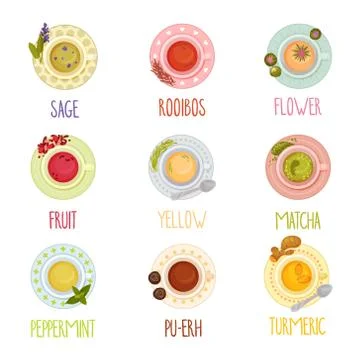Different Tea Types Vector Set. Colorful Herbal Drinks Poured in Teacup Illustrazione stock