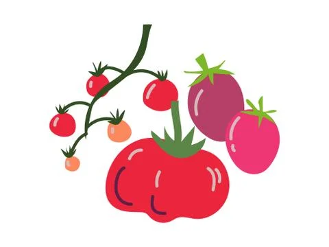 Different Tomato Varieties Fresh Vegetable, Organic Nutritious Vegetarian Food Stock Illustration