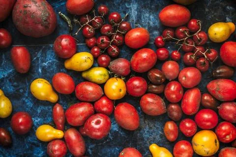 Different tomatoes harvest, top view Stock Photos