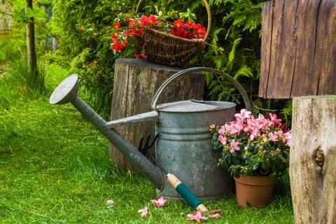 Different tools plants spring garden Foto stock